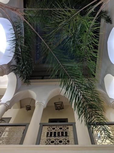 a palm tree hanging from the ceiling of a building at Dar Andamaure in Marrakech