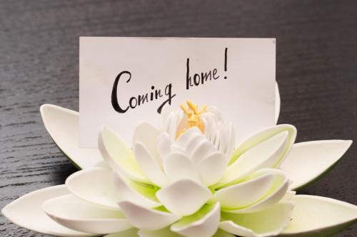a white flower and a sign that reads coming home at Art & Nature Apartments in der Nähe FFM-Messe in Bad Vilbel