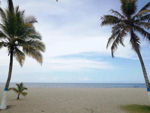 two palm trees on a beach with the ocean at Apartamentos Las Múcuras in Coveñas