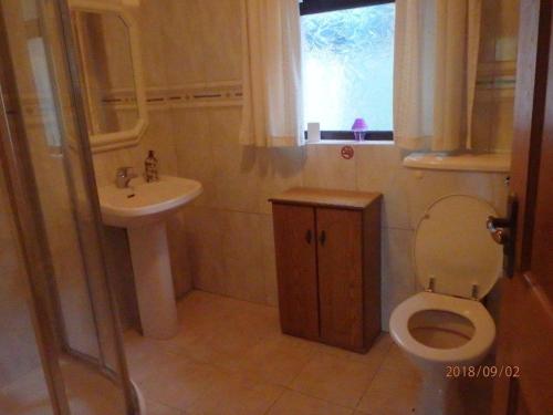 La salle de bains est pourvue de toilettes, d'un lavabo et d'une fenêtre. dans l'établissement Torrent Cottage, à Coalisland