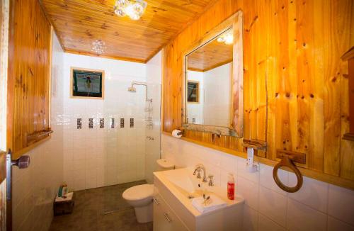 een badkamer met een wastafel, een toilet en een spiegel bij Red Tractor Retreat in Broke