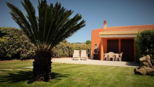 a palm tree in a yard next to a house at Roccabianca in Sorso