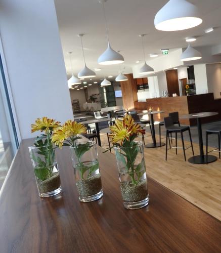 three vases with plants in them sitting on a table at Bildungshaus St. Hippolyt in Sankt Pölten
