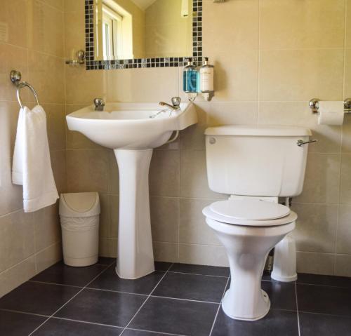 a bathroom with a white toilet and a sink at The Waterside Cottages in Nenagh