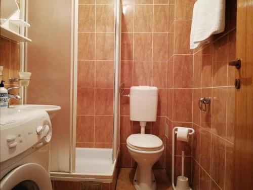 La petite salle de bains est pourvue d'une douche et de toilettes. dans l'établissement Apartment Oleander of Budva, à Budva