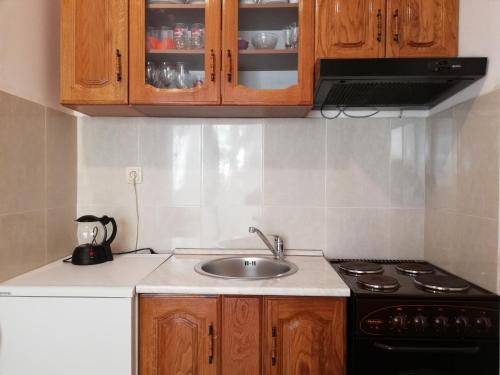 - une cuisine avec un évier, une cuisinière et des placards dans l'établissement Apartment Oleander of Budva, à Budva