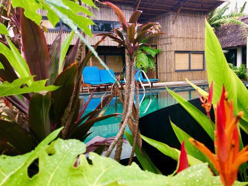 a pool in front of a house with plants at Home Farm Villa Hoi An in Hoi An