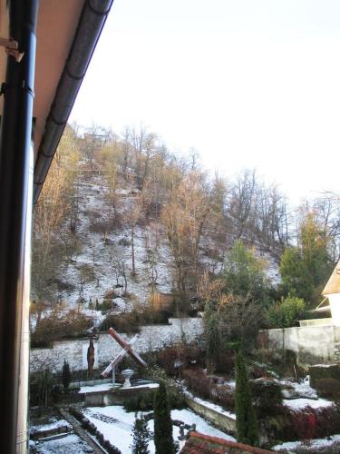 a view of a garden with snow on the ground at Harmony Gallery in Ljubljana