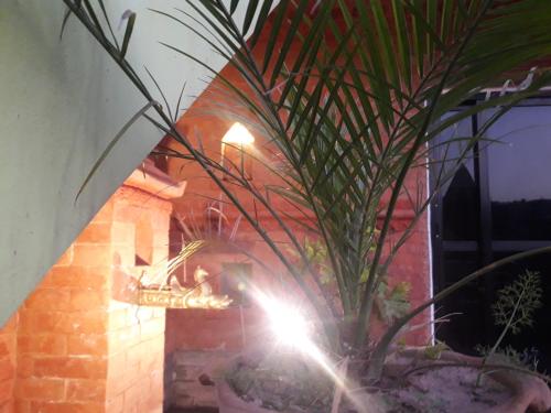 a plant in a pot next to a brick oven at Hotel Bhaktapur Inn in Bhaktapur