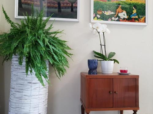 a plant in a white vase next to a table at Marco's house in Dolianova