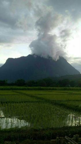 a mountain in front of a field with a mountain in the background at Ban Thung Talay Mok Chiangdao in Chiang Dao