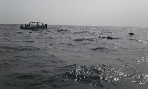 Φυσικό τοπίο κοντά σε αυτός ο ξενώνας