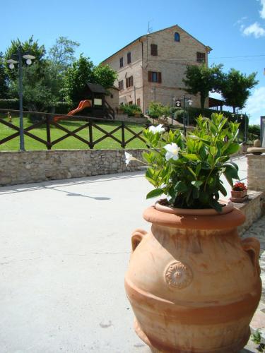 a large clay vase with a plant in it at Agriturismo Vecchio Gelso in Ortezzano