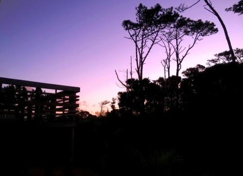 a silhouette of a tree and a building at sunset at Aloha Village in La Pedrera