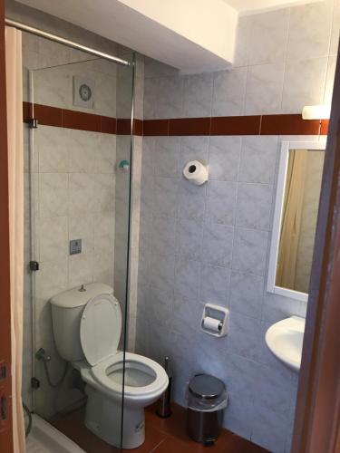 een badkamer met een toilet, een douche en een wastafel bij Bay Watch in Karpathos