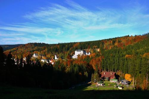 a small town in the middle of a forest at Villa Patriot Boutique Hotel in Mariánské Lázně