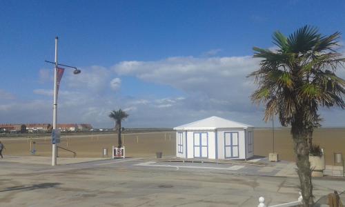 a building with a palm tree next to a beach at Face à la mer in Gravelines