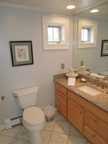 a bathroom with a toilet and a sink and a mirror at Victoria Inn in Hampton