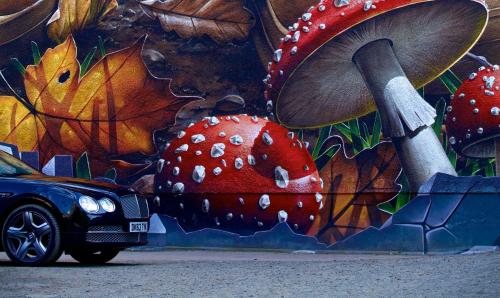 a car parked next to a wall with a painting of a mushroom at The Z Hotel Glasgow in Glasgow
