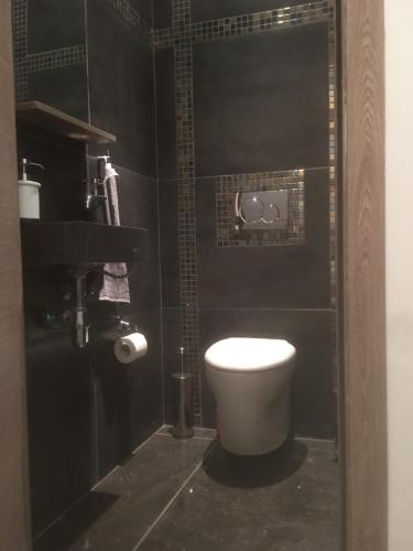 a bathroom with a toilet and a black wall at full 4 floors house at the center in Antwerp