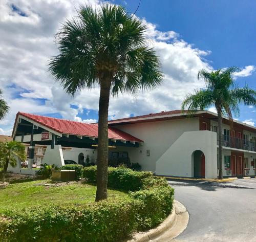 una palmera frente a un edificio en Red Carpet Inn Kissimmee, en Kissimmee