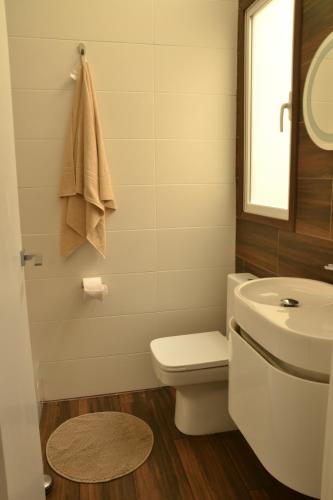 y baño con aseo blanco y lavamanos. en Piso moderno en casco antiguo próximo a la playa, en Alicante