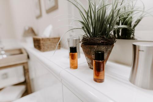 dos botellas de aceites esenciales y una maceta en un mostrador en StrandHotel Seeblick, Ostseebad Heikendorf, en Heikendorf