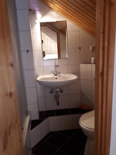 een badkamer met een wastafel en een toilet bij Manda & Marko Jurić in Seline