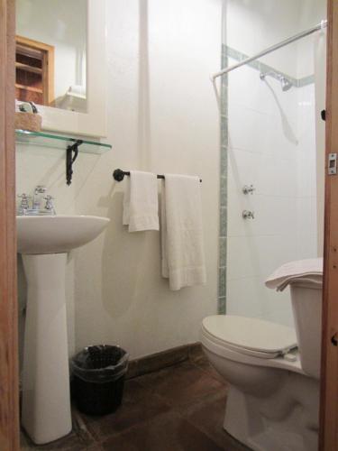 a bathroom with a toilet and a sink and a shower at Hotel Estancia de la Era B&B in Pátzcuaro