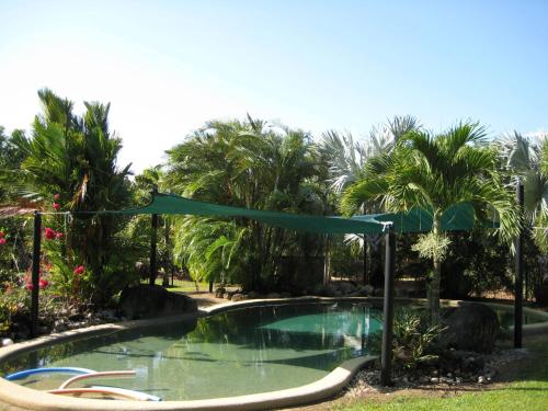 a swimming pool with a green umbrella in a yard at Daintree Wild Bed & Breakfast in Daintree