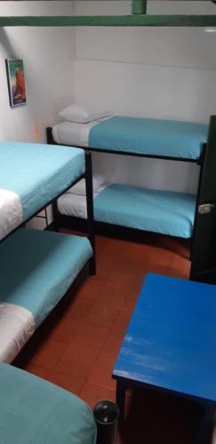 
Ein Etagenbett oder Etagenbetten in einem Zimmer der Unterkunft Cedron Hostel
