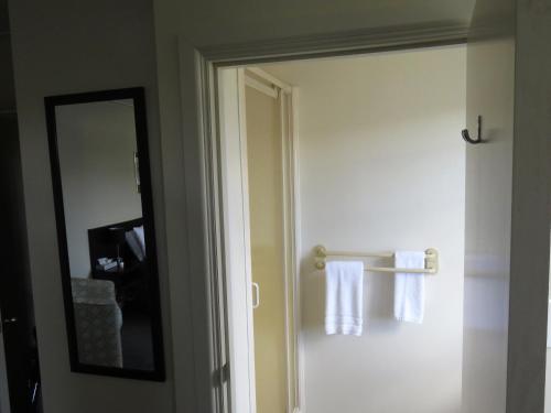 a bathroom with a towel rack and a mirror at Admirals Motor Lodge in Blenheim