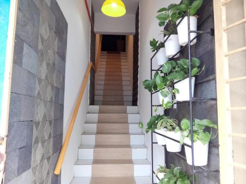 a stairway with potted plants on a wall at The Serai Cottage Transit Hotel in Kampong Gong Badak
