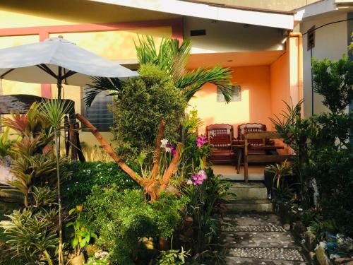 a garden with plants and an umbrella in a house at Pisces Tourist Inn - Port Barton in San Vicente