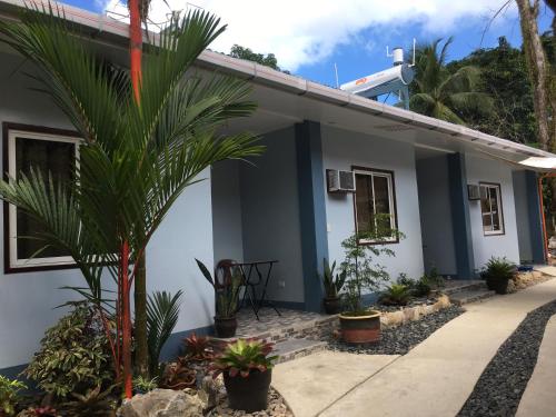 a house with a palm tree in front of it at Pisces Tourist Inn - Port Barton in San Vicente