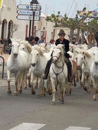 Photo de la galerie de l'établissement Les Saintes au bord de mer, à Saintes-Maries-de-la-Mer