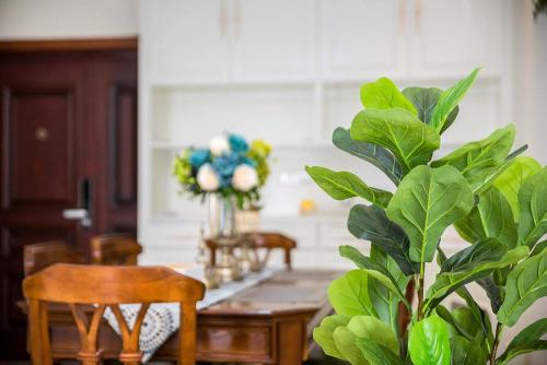 a room with a table and chairs and a plant at Henan Luoyang·Henan University of Science And Technology· Locals Apartment 00150340 in Luoyang