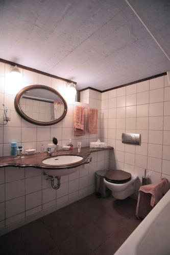 a bathroom with a toilet and a sink and a mirror at Pelion Belvedere - THE MANSION in Vyzitsa