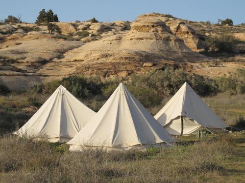 three white tents in a field in the desert at Rummana Campsite in Dana