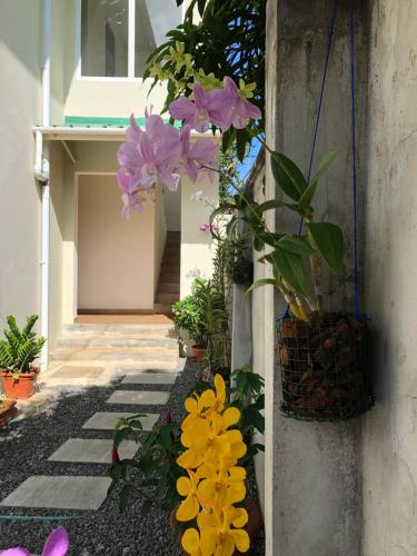 a group of flowers on the side of a building at Flower Garden Self-Catering Apartments in Beau Vallon