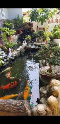 a garden with a pond with kites in it at First Baby Bytes Guest House in Siquijor