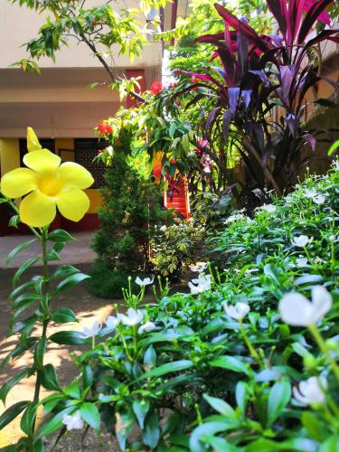 a garden with a yellow flower and other plants at David Homes in Cochin