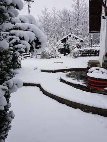a garden covered in snow with a pond and trees at Villa Mira in Mačkat