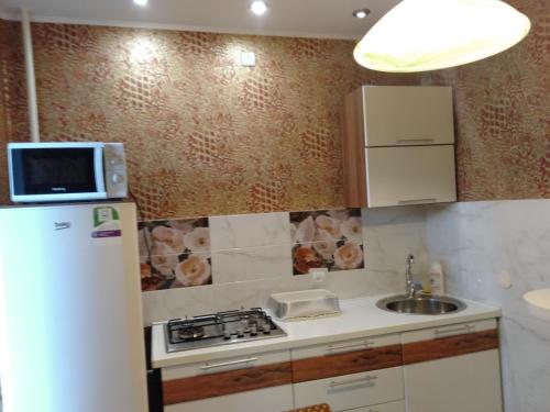 a small kitchen with a refrigerator and a sink at Apartments Galactika in Oral