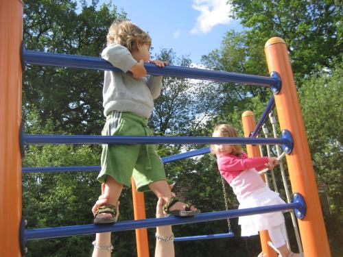 dos niños jugando en las barras de los monos en un parque infantil en Mooiplekkie Eext, en Eext