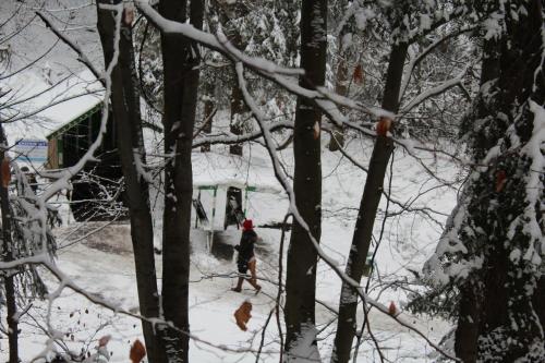 a person walking in the snow in the woods at Zolotoie Runo in Skhidnitsa