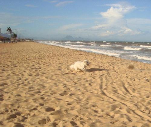 Casa de Praia - LONG BEACH - Cabo Frio - Unamar
