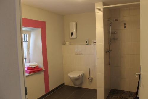 a bathroom with a toilet and a shower at Altes Schulhaus in Zeltingen-Rachtig