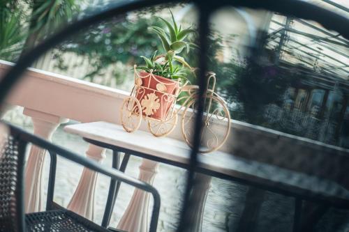 a potted plant sitting on a table on a balcony at Zante Nest Studios & Apartments in Alikanas