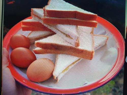 a plate with a sandwich and eggs on it at Triangle House and hot spring in Kintamani